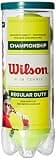 Wilson Championship — Bola de treino resistente